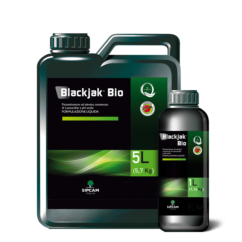 BLACKJAK BIO