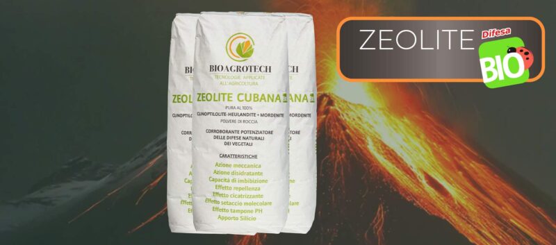 Zeolite Cubana Bio