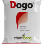 Dogo  CHIMIBERG