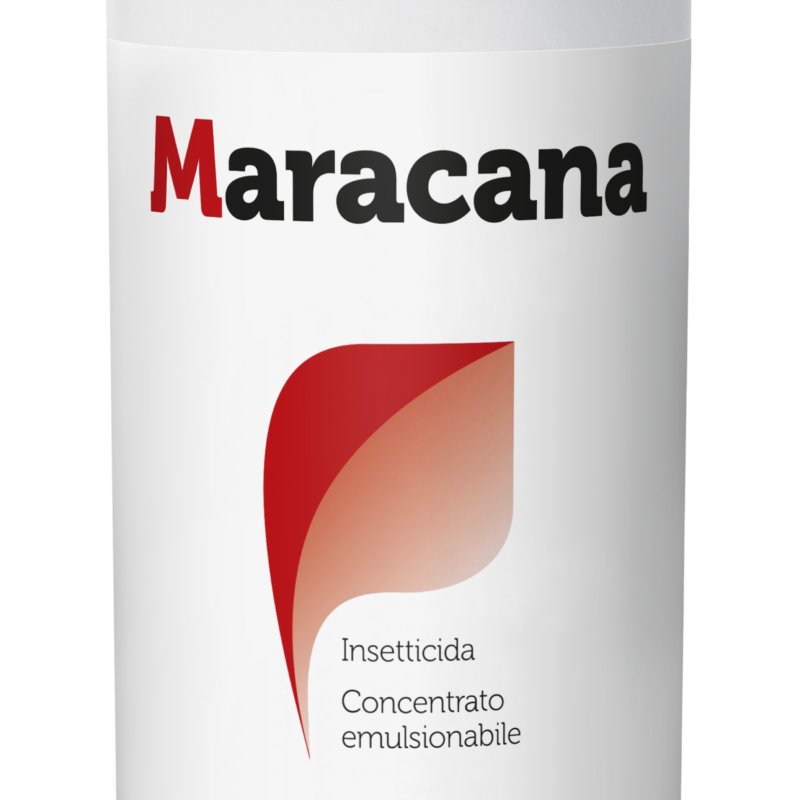 MARACANA