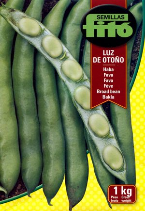 FAVA LUZ DE TONO (Fitò) conf. 1kg