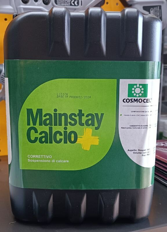 MAINSTAY CALCIO Conf.5lt