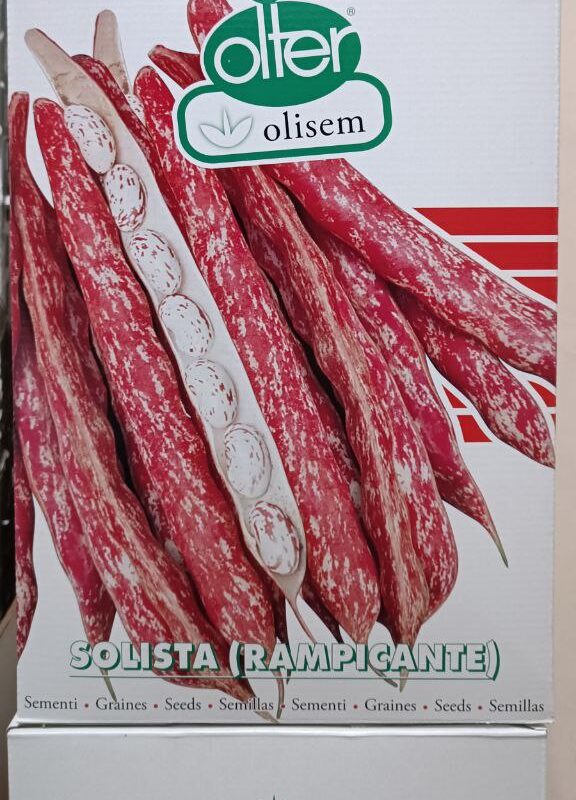 FAGIOLO SOLISTA RAMPICANTE OLTER conf.5kg