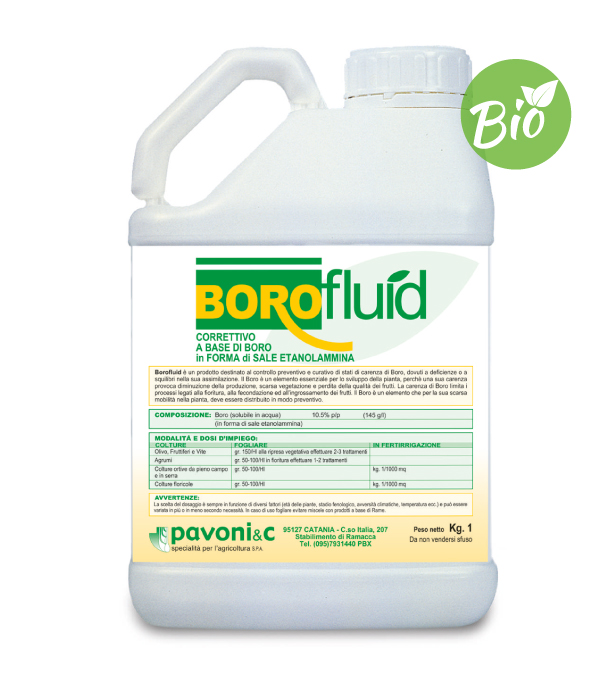BOROFLUID  pavoni  KG 6