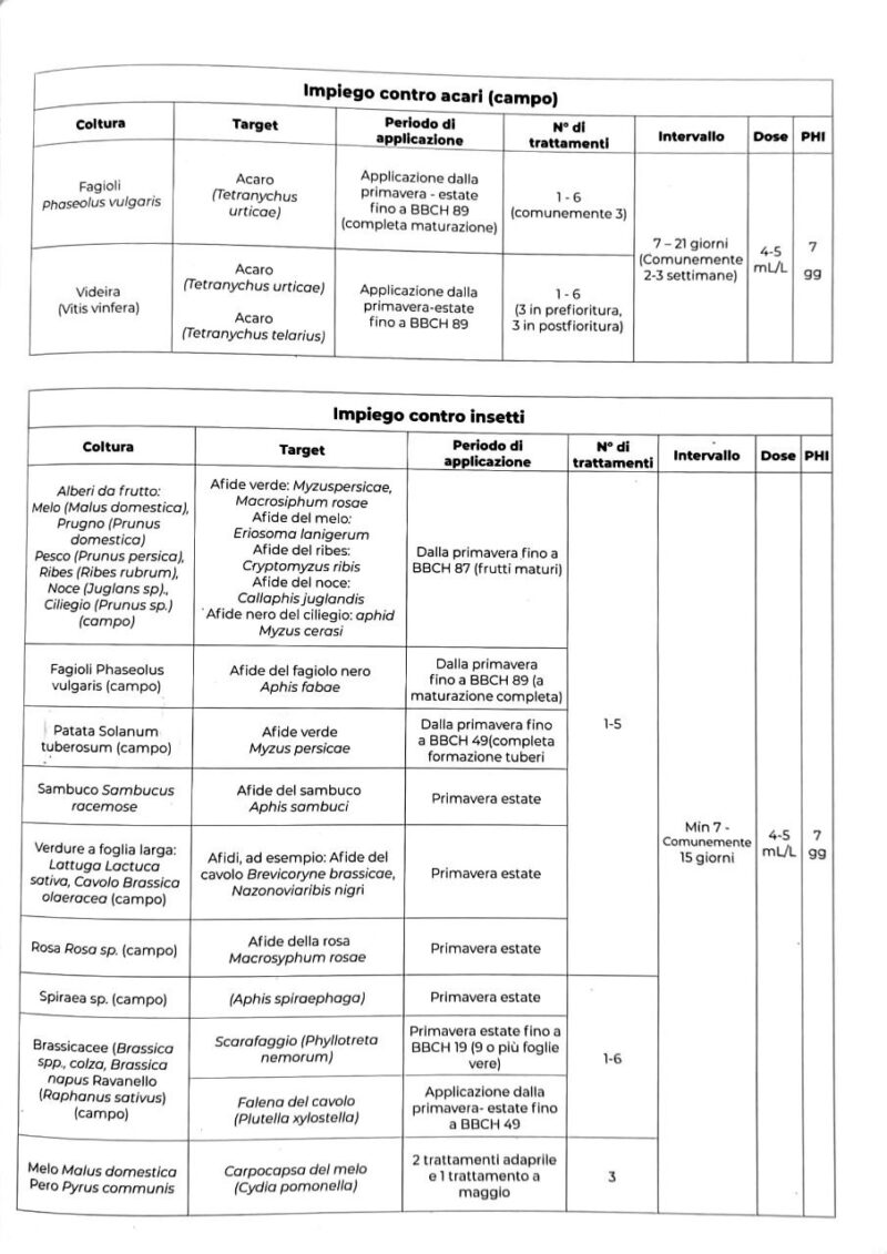 VEGEX URTIBASIC  LT 1 - immagine 2