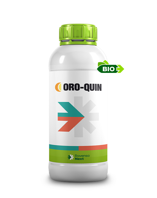 ORO-QUIN LT 1    ROVENZA NEXT