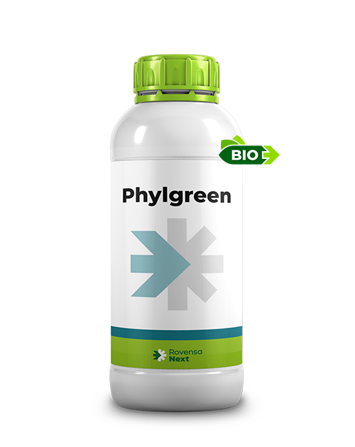 PHYLGREEN   (Rovenza) Ascophyllum nodosum  1 lt